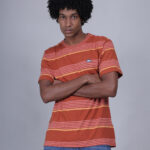 Men's Premium Cotton  Striped Round Neck T-Shirt